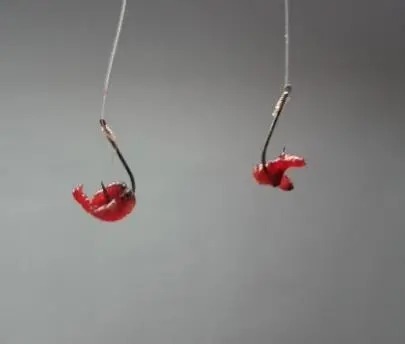 学会这2种挂蚯蚓的方法,想钓不到鱼都难