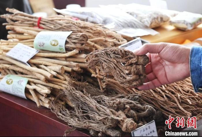 医疗机构|甘肃聚焦中药制剂创新发展 :简化流程助“经典名方”研发