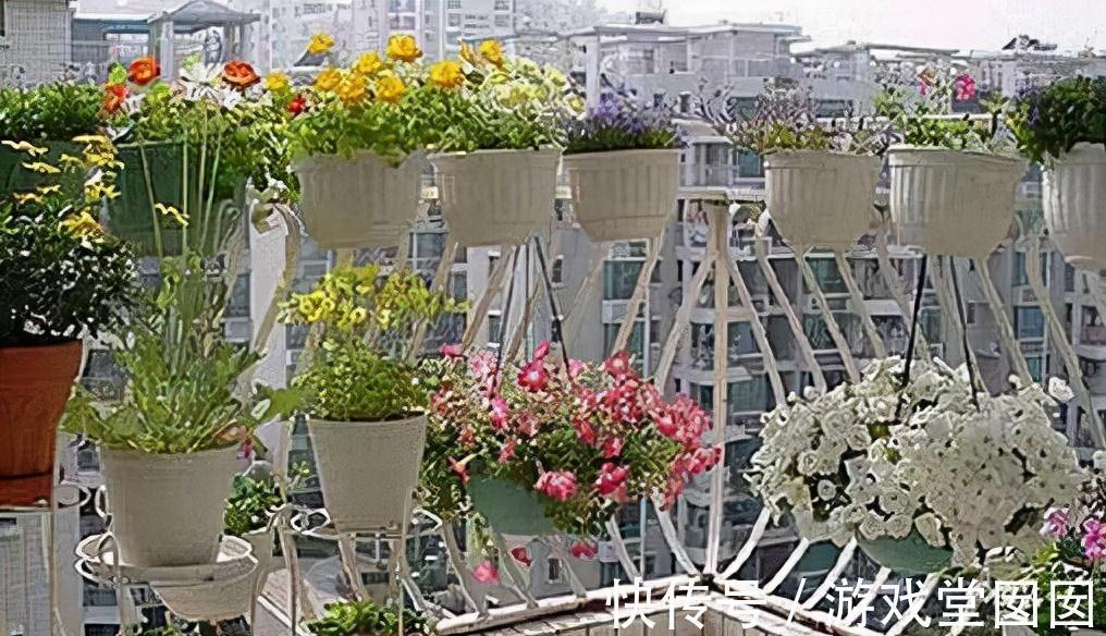 在家中这三个地方乱养花，说了也不听，难怪植物黄叶又烂根