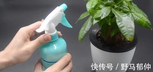 不管多难养的花，浇水时加点它，不黄叶还不烂根，比花肥还好用