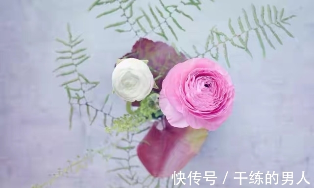 老人|带孙十年,儿子提出“该歇歇”,母亲:要么把房子还我,要么给钱