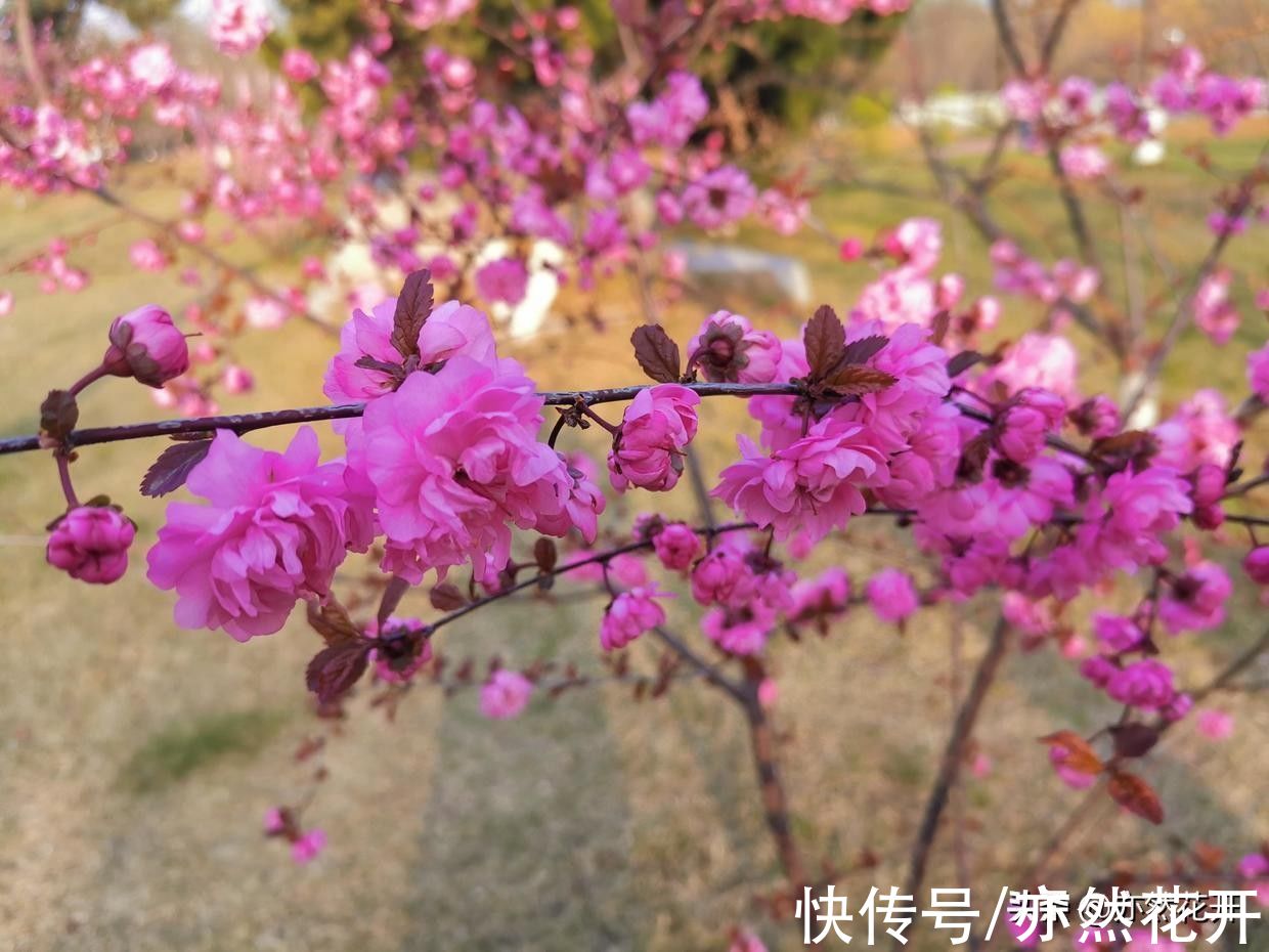 写作#故事写作：学会36种模式，写出精彩故事