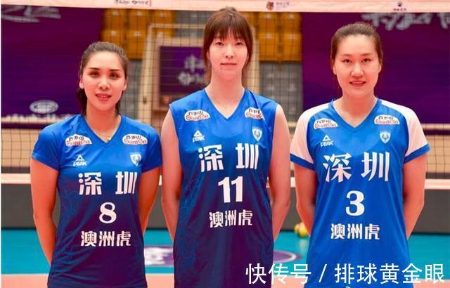 王晨|深圳女排实力分析：主攻略显平庸，自由人实力不错，其他位置够用