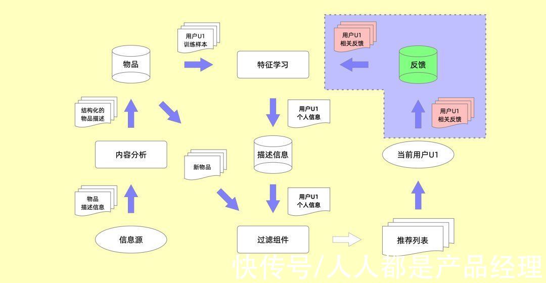 流浪动物|你在互联网平台的「喜欢」与「不喜欢」正在悄悄影响整个社会