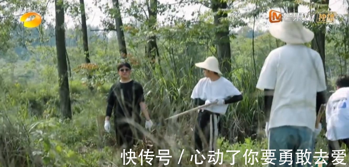 向往的生活5|《向往的生活5》集體勞動種樹，黃雅莉成功出圈，張藝興廣受好評