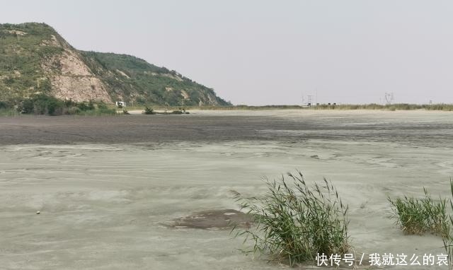 芦苇|黑铁山东麓有个干涸的水库，不知做什么用只剩芦苇在风中摇曳