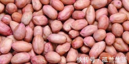 花生|对身体很好的几种食物,平时常吃,滋补肝肾,润肠通便,增强体质