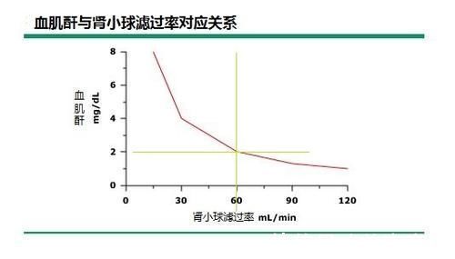 酸碱平衡|肾功能是什么？肌酐又是啥？血肌酐增高是否意味着肾功能不好了？