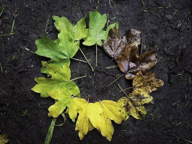 痛风|70-79岁是“长寿关键期”，要健康更长寿，做到：3防，4勤