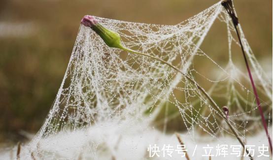 陈阿娇！辛弃疾写下一词，讽了排挤他的人，成为千古名作