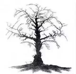 嘴唇|一张很火的老年痴呆测试图,自测一下,预防老年痴呆,只需一招