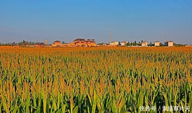 张掖甘州夏日古城别样美