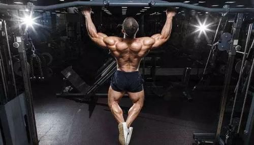 手臂|做不了引体向上,就不配拥有发达的背肌吗新手有更好的练背选择