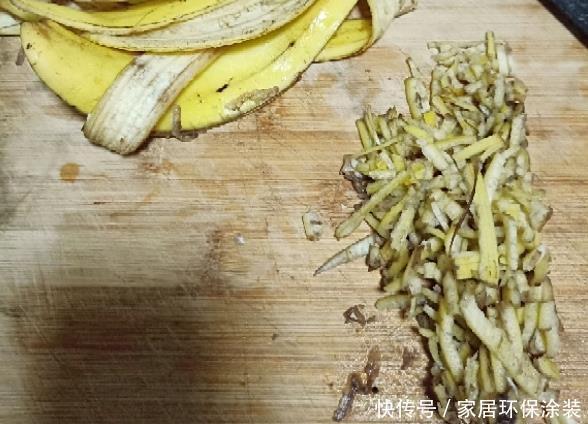 鸡蛋戳个洞,埋盆里1年不用施肥,三角梅疯狂开花