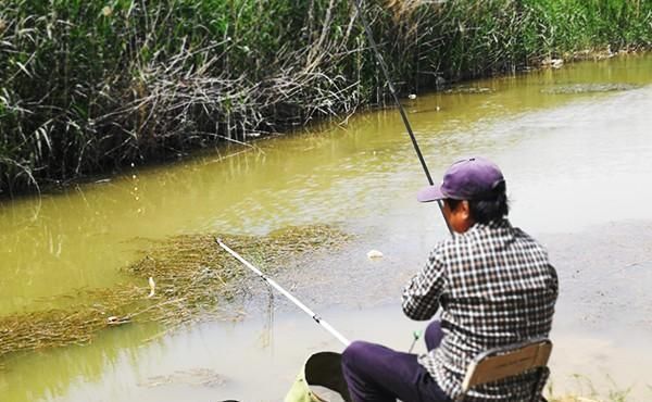 钓鱼|钓鱼时,这些经常搭讪的人,是有“目的”的,你都了解吗