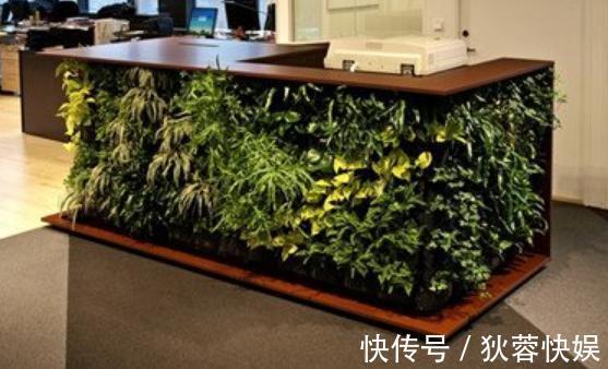 电热器|新房装完怎么有效除甲醛4个实用小妙招，轻松解决不留遗憾