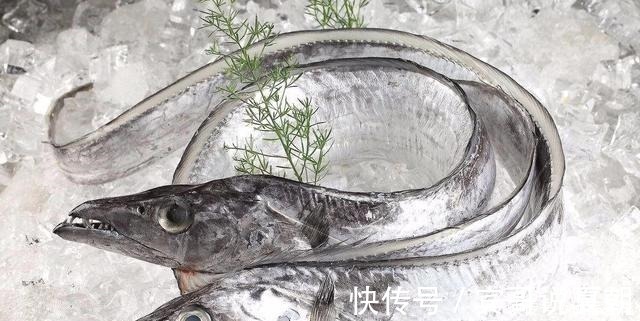 带鱼|想买到优质的带鱼靠经验，记住“4买3不买”，避免上当受骗！