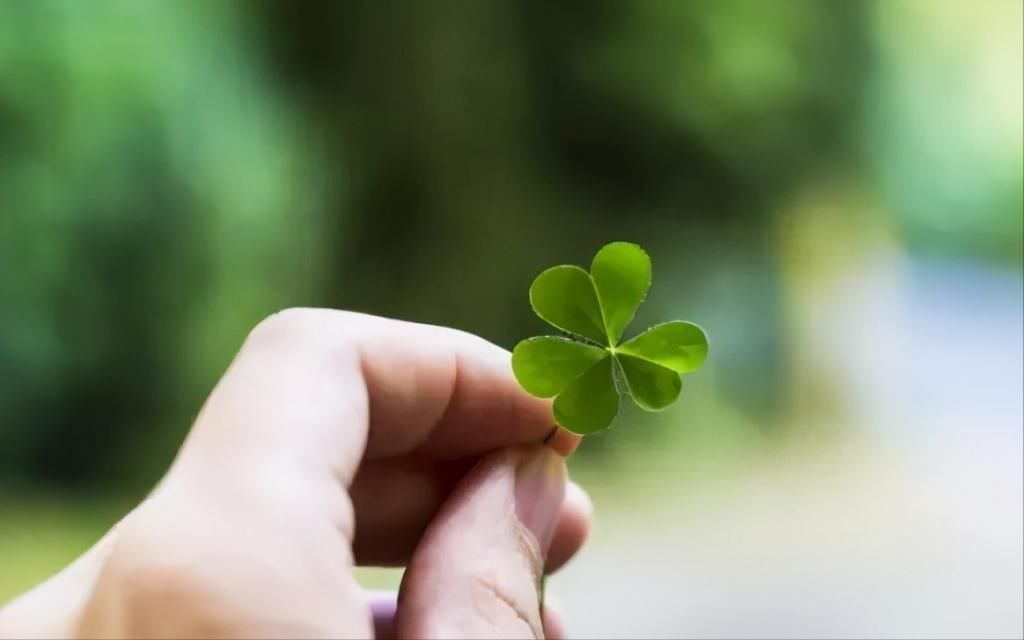 癌症|肿瘤专家：不要害了亲人，很多人根本就不该得癌