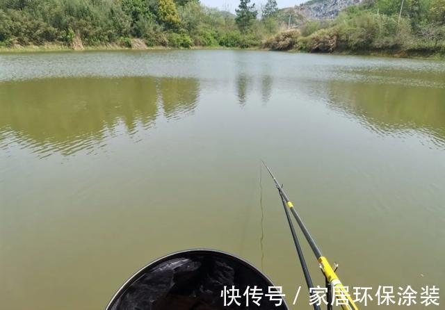 野生|鱼能听到人讲话吗？看完此文，可能你就不会困惑了