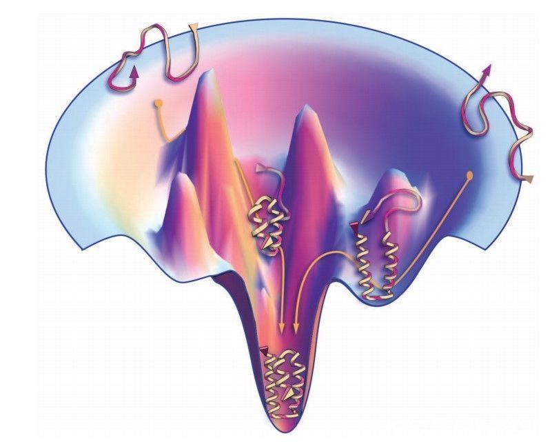 人类|人类生物学的大突破，就这样被 AI 做到了