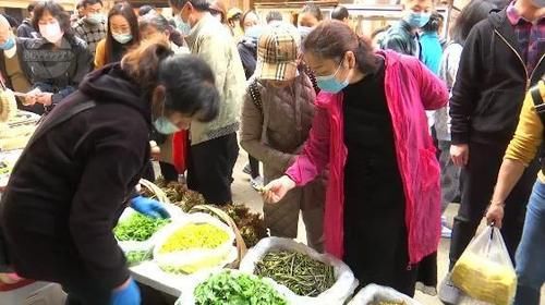 野菜疯长！花儿、尖儿、芽儿统统到我的碗里来！但是这些吃不得