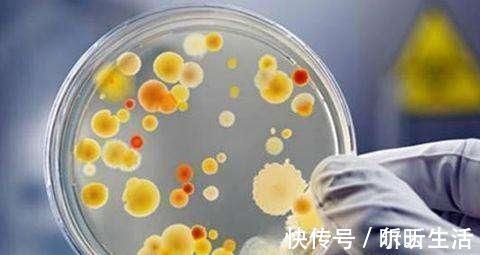 食用|猪肉放在冰箱，超过这个时间，就快点扔掉吧，不要再心疼食用了