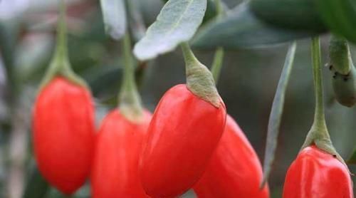 女人45以后,慢慢步入更年期,需做到“三多一少”,少进医院大门