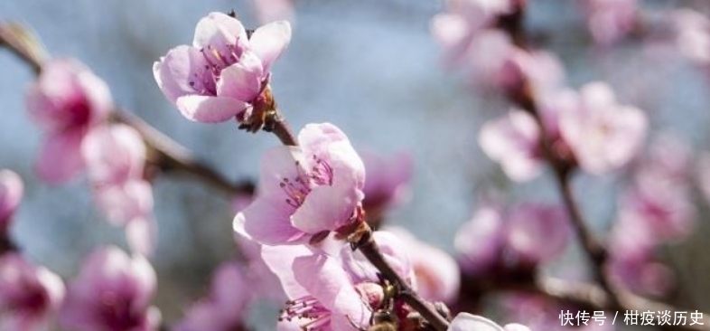 课本|白居易入选课本最多的一首诗,通篇写得很是简练,但却充满了哲理