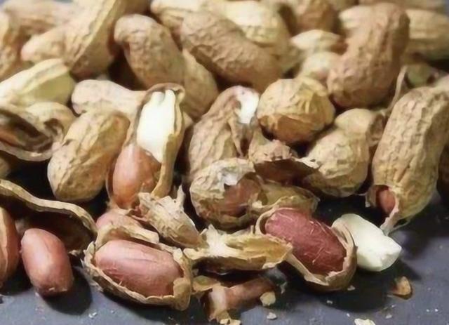 爷爷养花,从不用“营养液”,路边捡“2种料”,养啥花都爆盆!