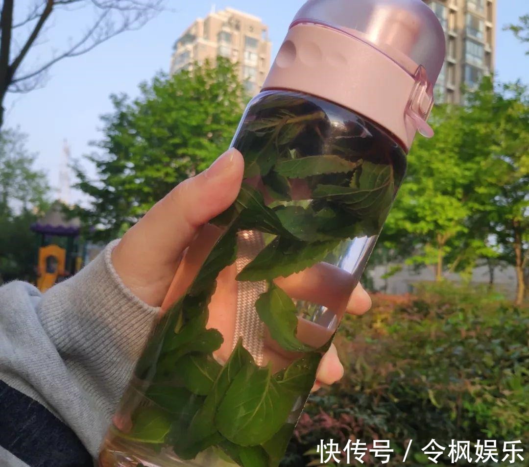 老中医最爱的8种花,一盆堪比小药箱,摘片叶子就能泡水喝!