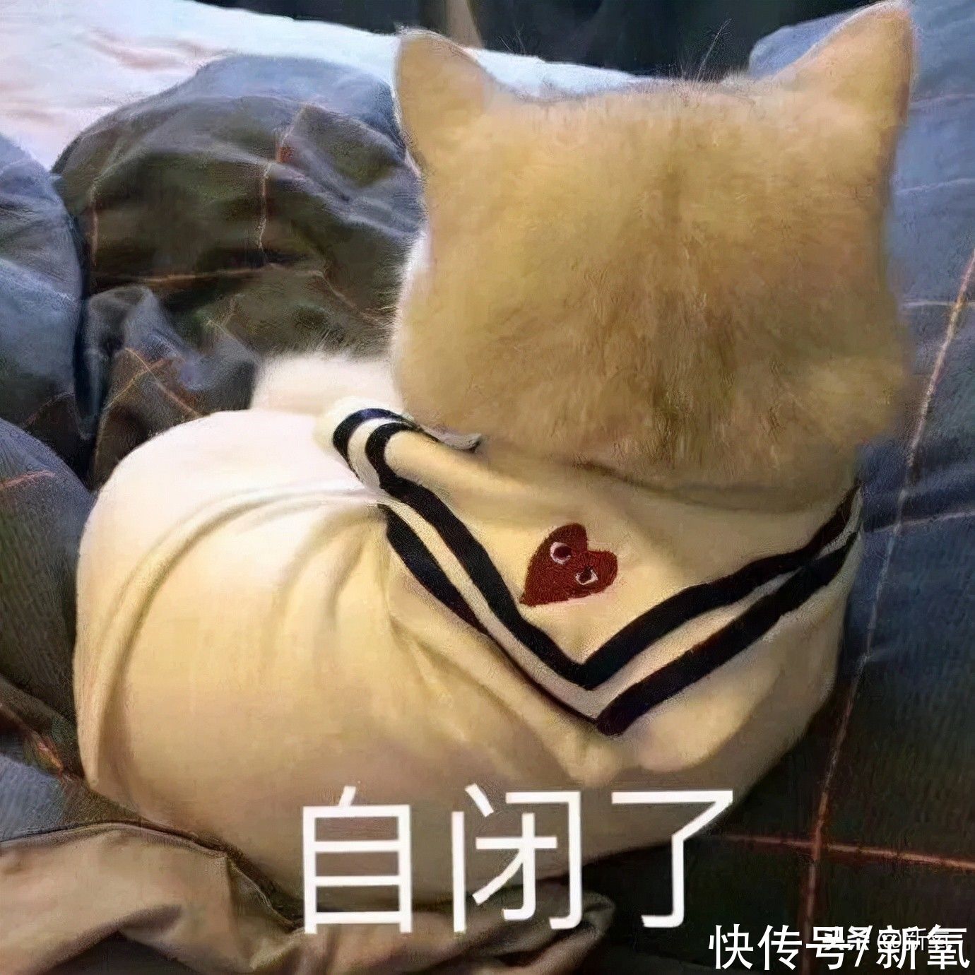 卡餐|薇娅李佳琦集体翻车!减肥餐有一个算一个全是智商税?