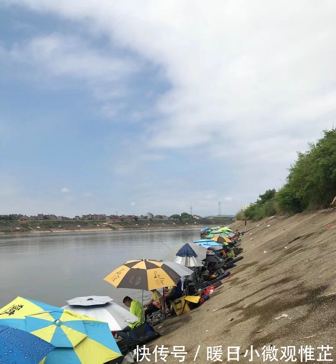 垂钓|壮观！广西一河道数百名钓鱼人挤坐一起，垂钓盛行是消费降级？