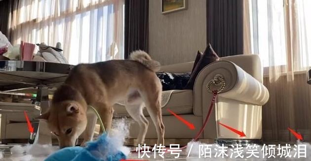 瓢哥|《向往4》录制，王珞丹喊话想退回瓢哥，谁注意到官方回话