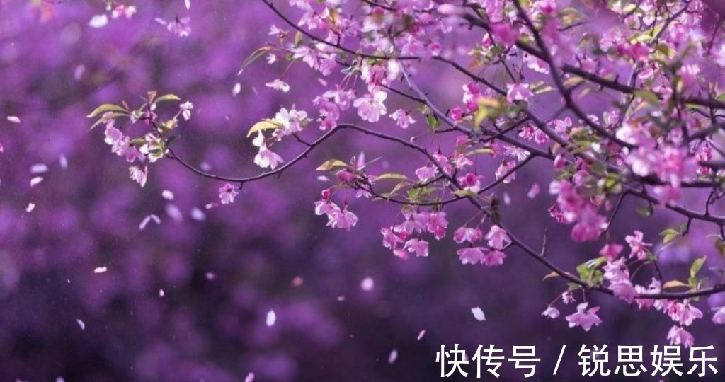 进士$郑板桥考不上进士,一气之下写癫狂版《沁园春》,被誉:直逼古人