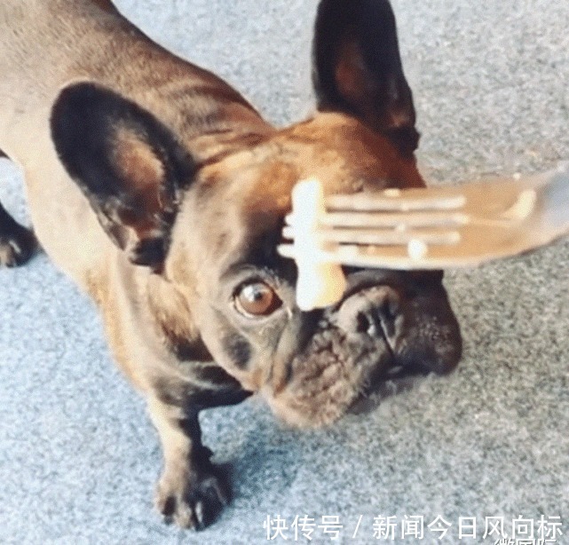 工厂|全球最臭的工厂,臭到狗都没法进去直接呕吐,却有很多人爱吃