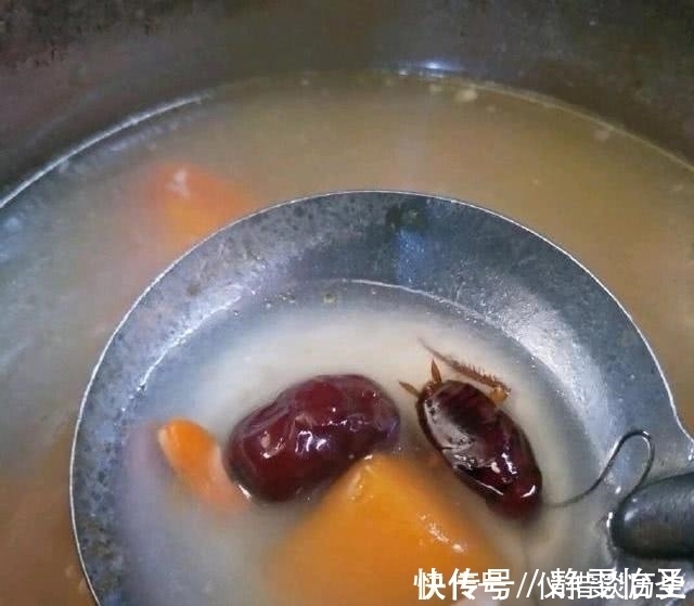 |搞笑：吃了几口饱饭之后就不知道自己是什么物种了