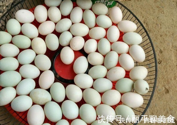 窍门|腌咸鸭蛋,牢记“2个窍门”,鸭蛋不变质,起沙流油吃着香