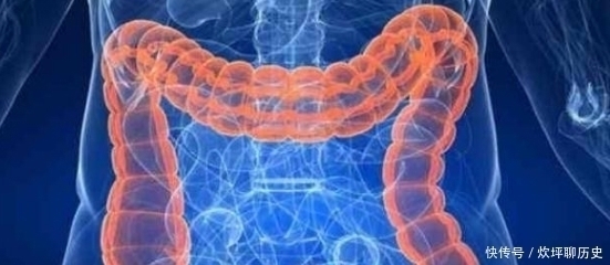 寿命|每天这两个“时间点”排便的人,说明你的寿命会很长,达标的人并不多!