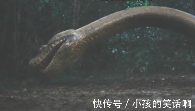 邪帝|和老妈一起看《终极笔记之六》——太把细