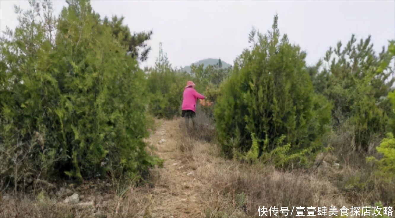 民宿|北京延庆观山名宿精品民宿，唐文化古风建筑，汉服和私汤独特体验