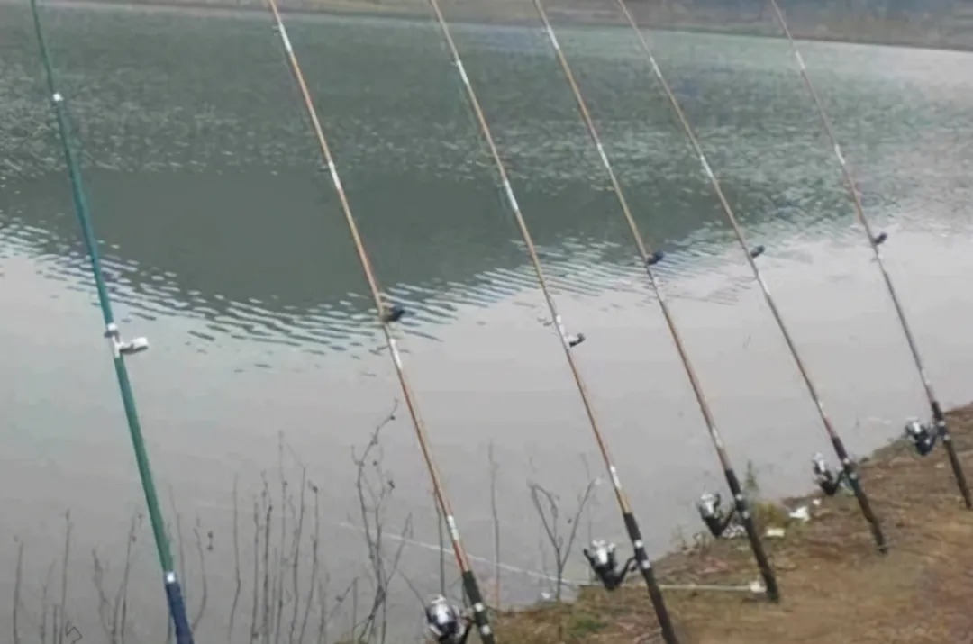 天冷后,大板鲫就不好钓了?试试这3种特色钓法,封竿想法不再有