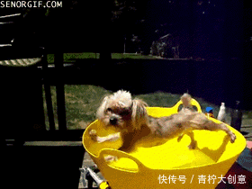 别再问美术生这三个蠢问题啦!美术生得罪谁了让你们这么欺负?