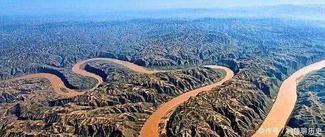 黄河岸边有一种宝贝，如果不加以保护，相信很快就看不到了