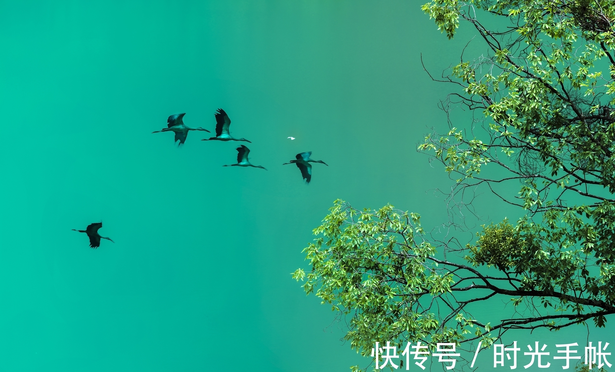 平意|一个人的道德、智慧和健康，根源就在一个字！