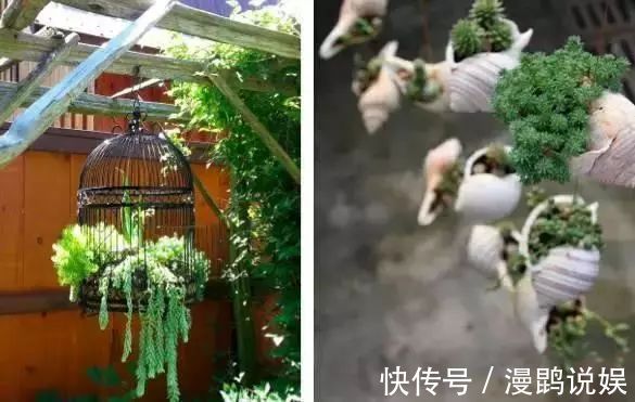 小花|别再花钱买普通花盆了,你意想不到的种花神器!