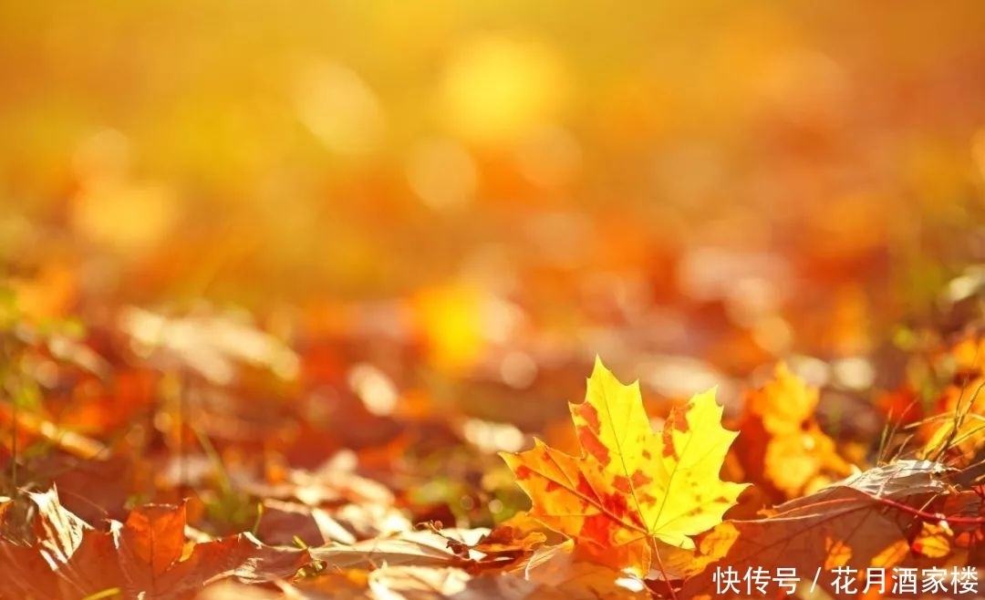 苏州太湖西山岛|苏州人的宝岛秘境,美成仙境,却被时光遗忘!