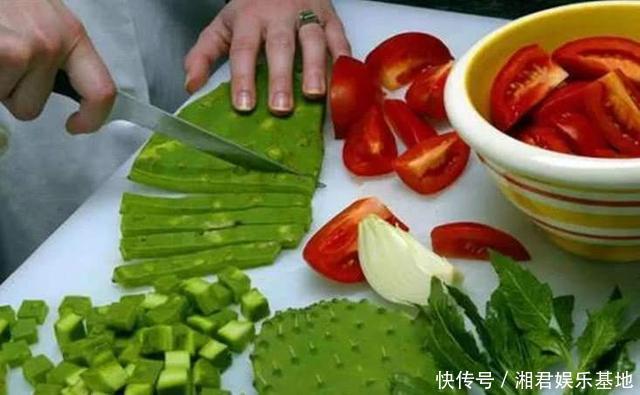 仙人果|30年的仙人掌长成“仙人树”,霸气侧漏,多少钱也不卖