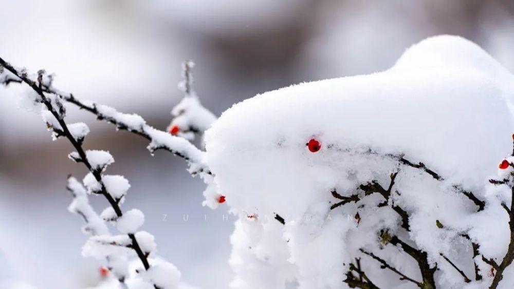 世界|等一个人，陪我去看雪裹雾锁泥巴山