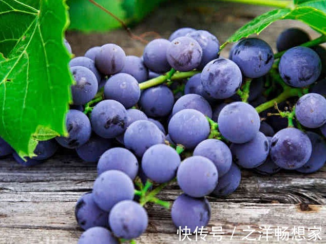 草莓|长寿老人都在吃的5种水果,尤其是最后一种,很容易被人忽略!