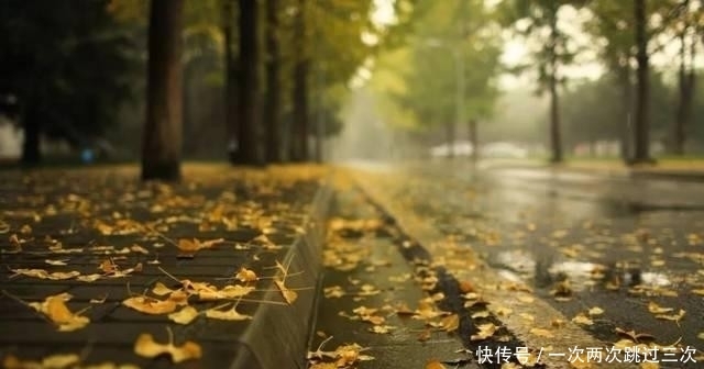 秋雨连绵，给大地披上了一层薄薄的纱衣